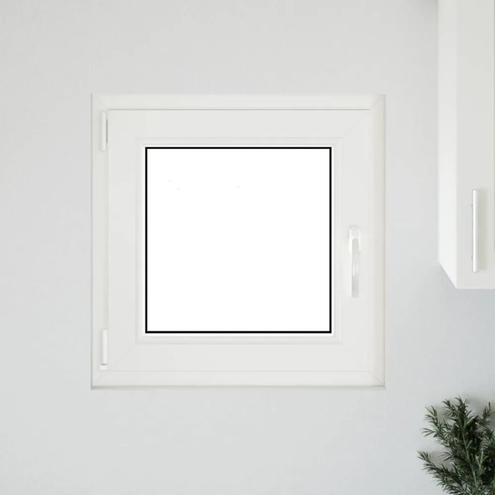 Bouwmaterialen*vidaXL Kelderraam RISOR 50 x 50 cm PVC en glas Wit