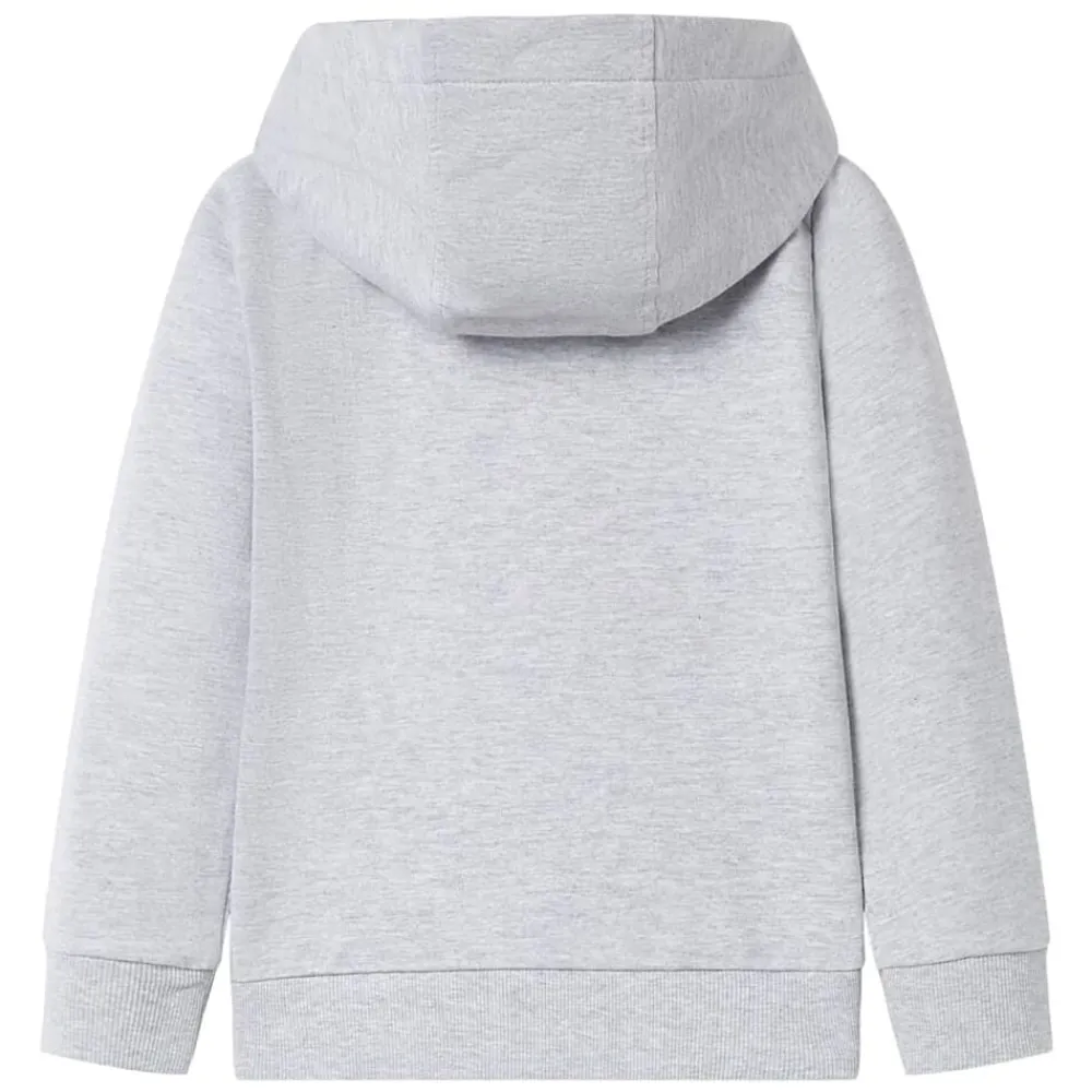Kleding & Accessoires*vidaXL Kindervest met capuchon en rits 92 Grijs