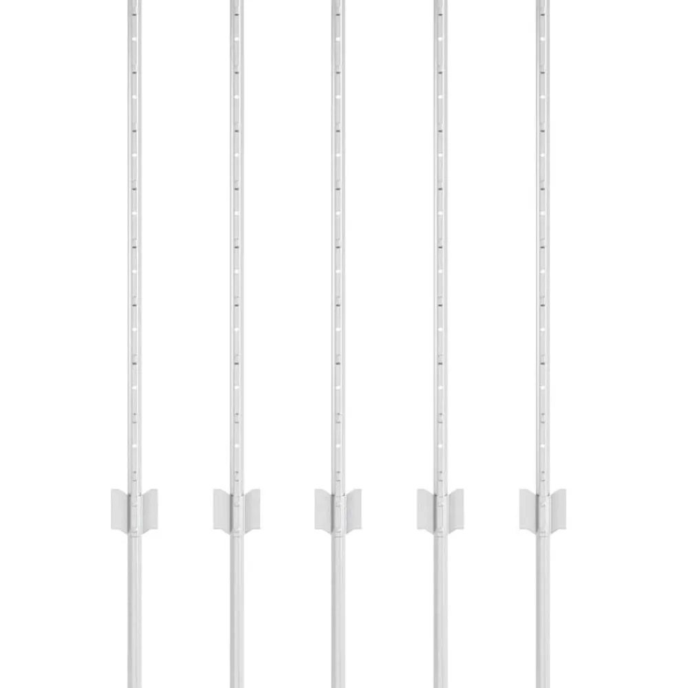 Tuinafscheidingen*vidaXL Afrasteringspaal 5 pcs Zilver 80 cm Staal Ge galvaniseerd staal/zwart