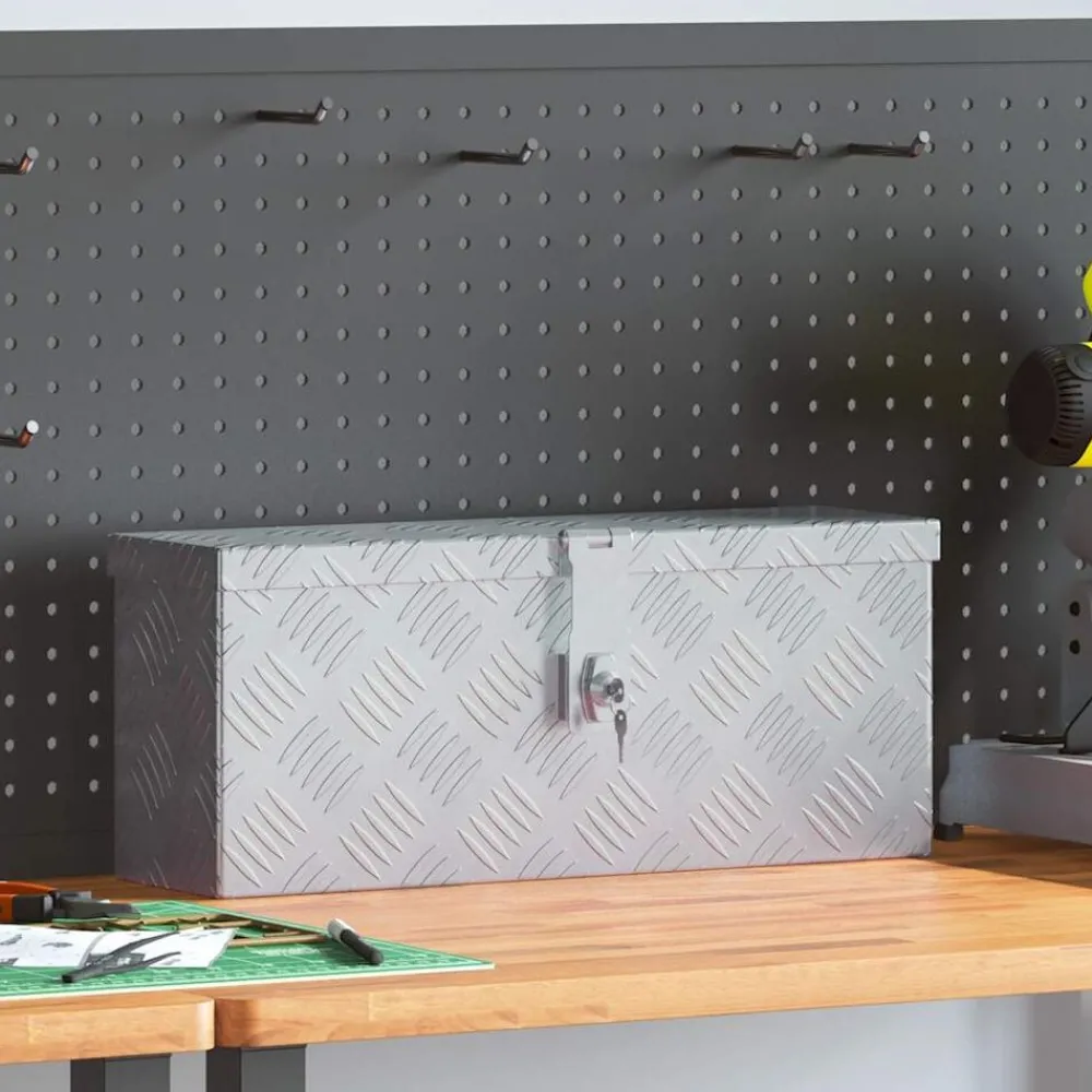 Bouwbeslag*vidaXL Aluminium kist 48,5x14x20 cm kleurig Zilver