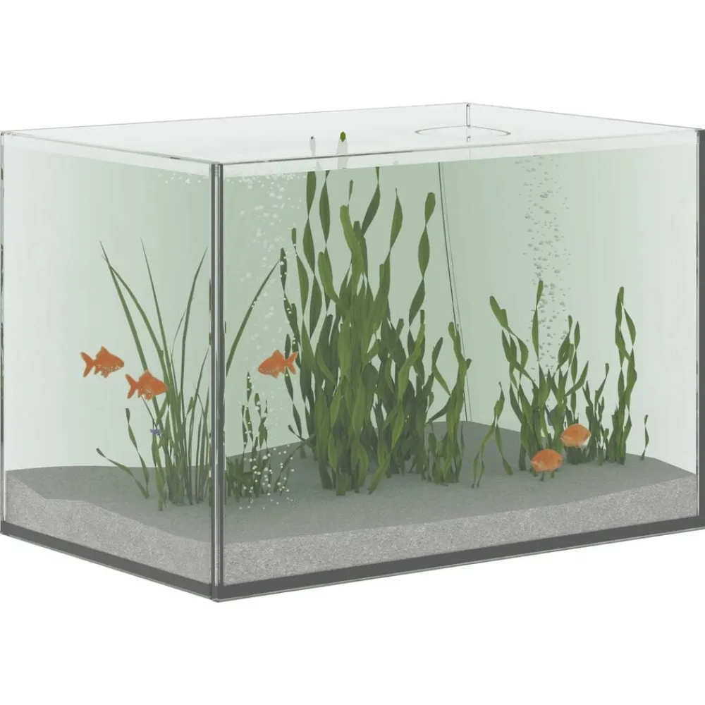 Huisdierbenodigdheden*vidaXL Aquarium met opslag Doorzichtig 30 x 20 x 20 cm Glas