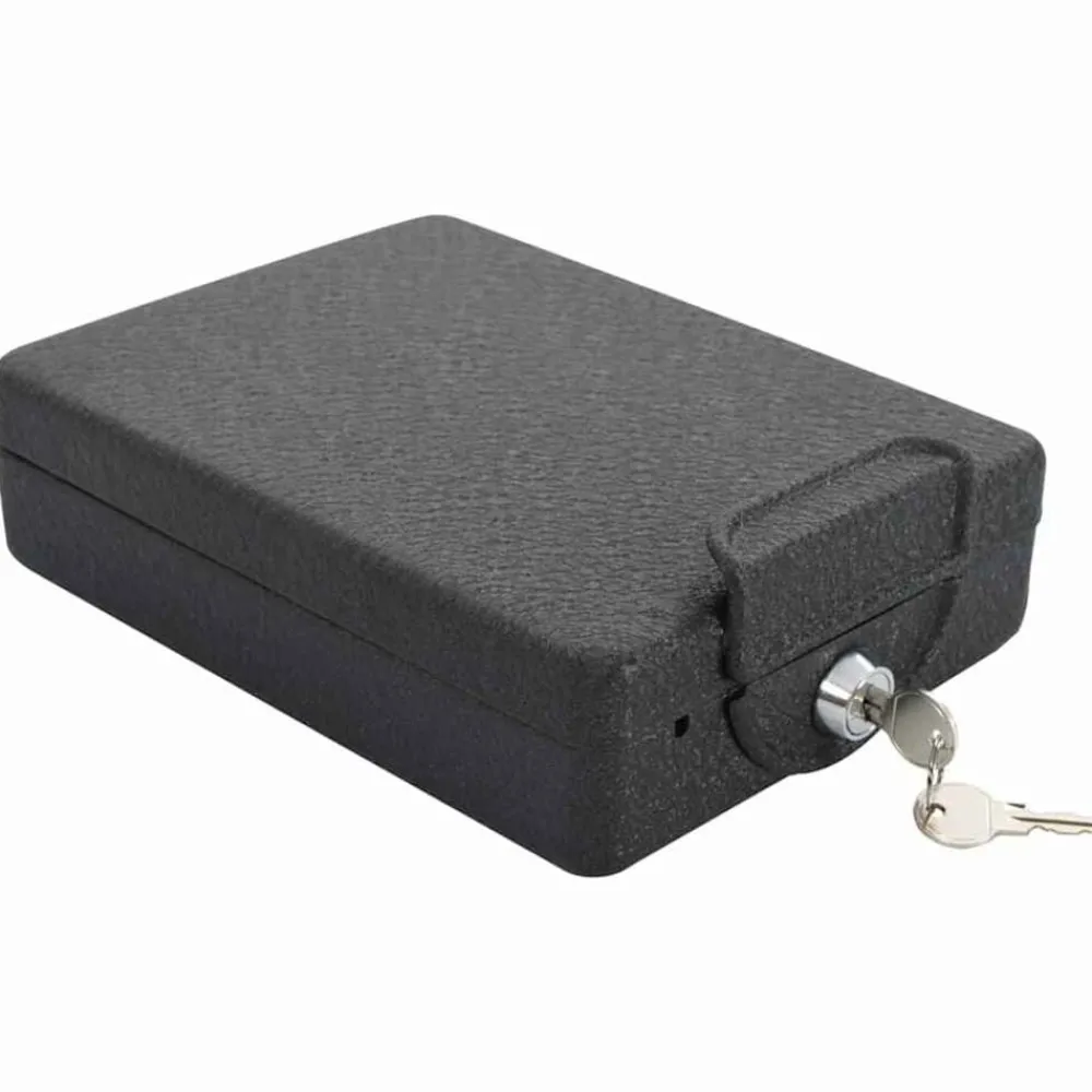 Bedrijfs- & Woonhuisbeveiliging*vidaXL Auto Safe met slot Zwart 22 x 16 x 7 cm Staal