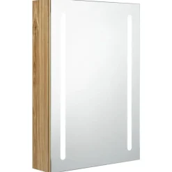 Badkamerkast met spiegel en LED 50x13x70 cm kleurig>vidaXL Outlet