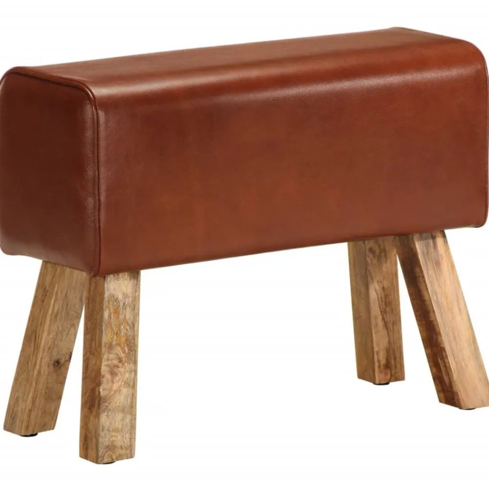 Bankjes*vidaXL Bankje turnbok 58 cm echt leer en massief mangohout Bruin