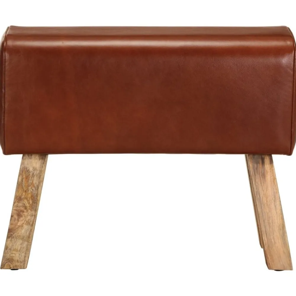 Bankjes*vidaXL Bankje turnbok 58 cm echt leer en massief mangohout Bruin