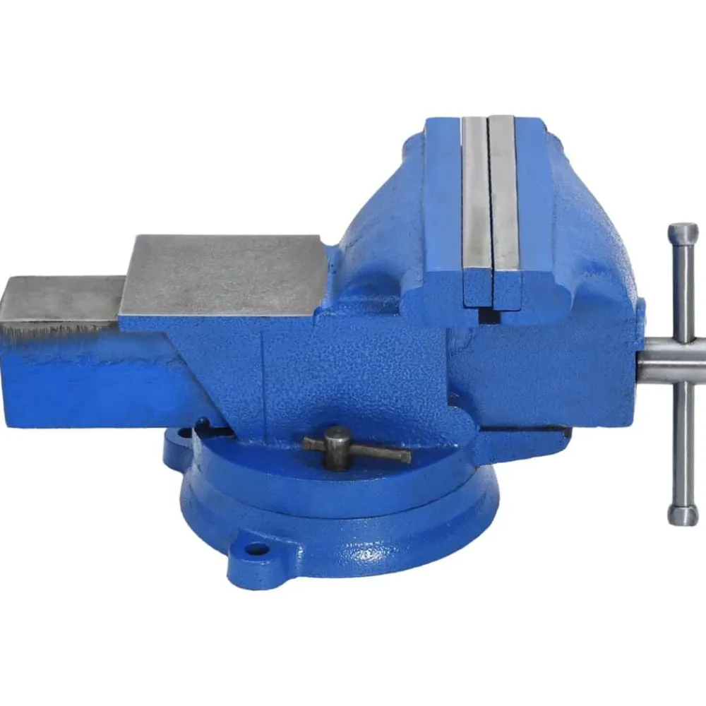 Gereedschap*vidaXL Bankschroef 150 mm gietijzer blauw