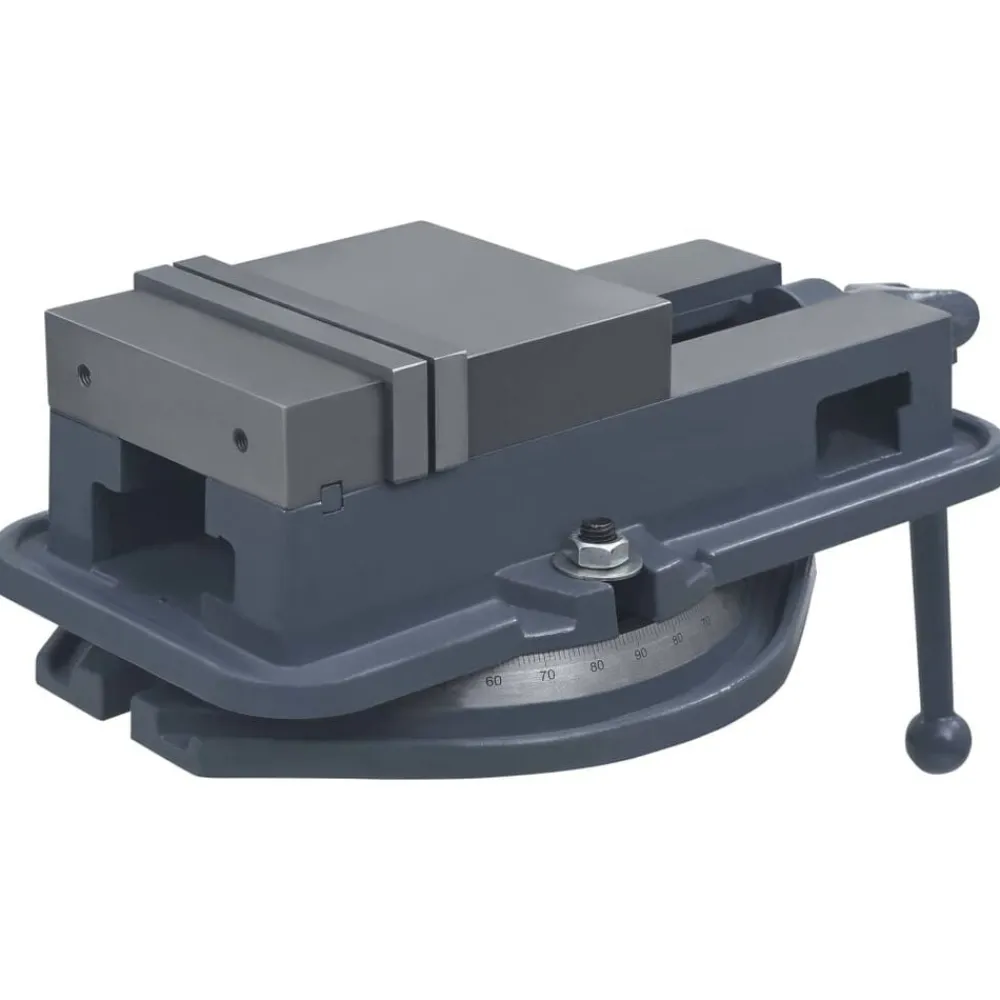 Bankschroef draaibaar 160 mm gietijzer>vidaXL New