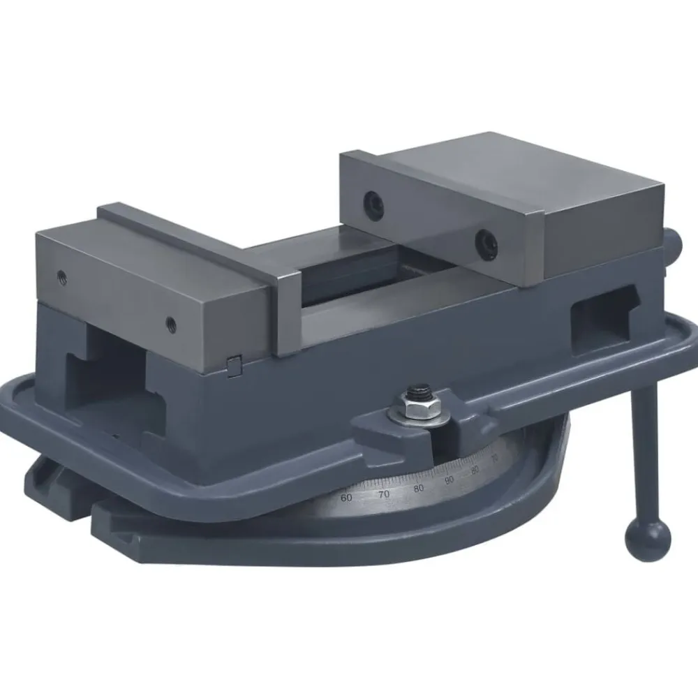 Bankschroef draaibaar 160 mm gietijzer>vidaXL New
