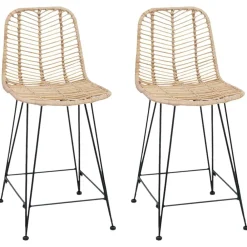 Barkruk 2 pcs 44,5 x 54,5 x 97,5 cm Riet en IJzer>vidaXL Discount