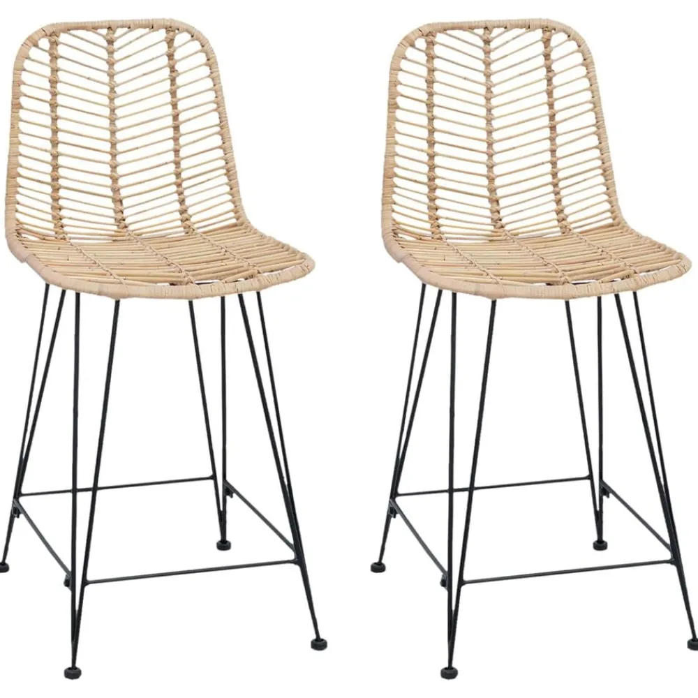 Barkruk 2 pcs 44,5 x 54,5 x 97,5 cm Riet en IJzer>vidaXL Discount