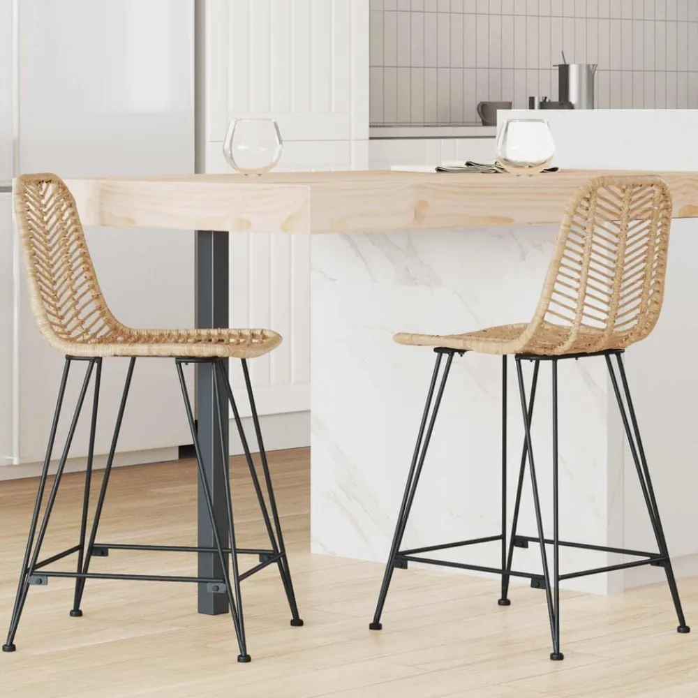 Barkruk 2 pcs 44,5 x 54,5 x 97,5 cm Riet en IJzer>vidaXL Discount