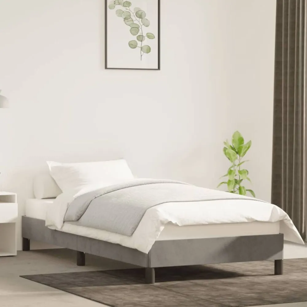 Bedden & Accessoires*vidaXL Bedframe zonder matras 80x200 cm fluweel Lichtgrijs