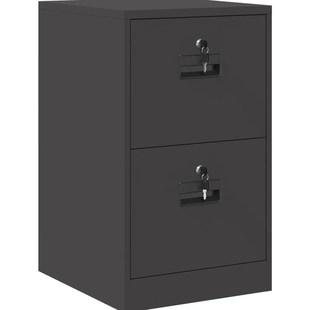 Kasten & Opbergmeubelen*vidaXL Bestandenkast 44 x 50 x 74,5 cm Koudgewalst Staal Zwart