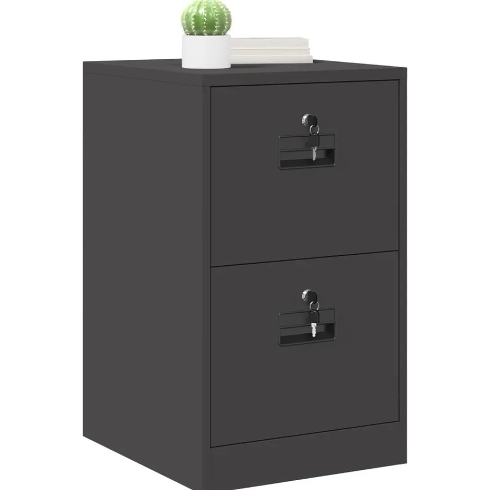 Kasten & Opbergmeubelen*vidaXL Bestandenkast 44 x 50 x 74,5 cm Koudgewalst Staal Zwart
