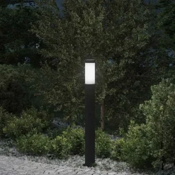 Verlichting*vidaXL Bolderverlichting 80 cm RVS IP44