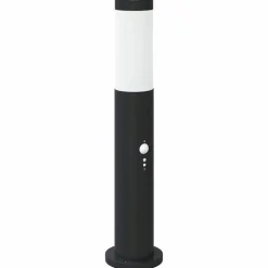 Verlichting*vidaXL Bolderverlichting met sensor 50 cm RVS IP44