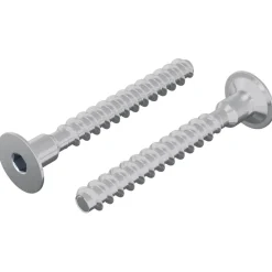 Bouwbeslag*vidaXL Bout 2 pcs Verzinkt 5 x 40 mm IJzer