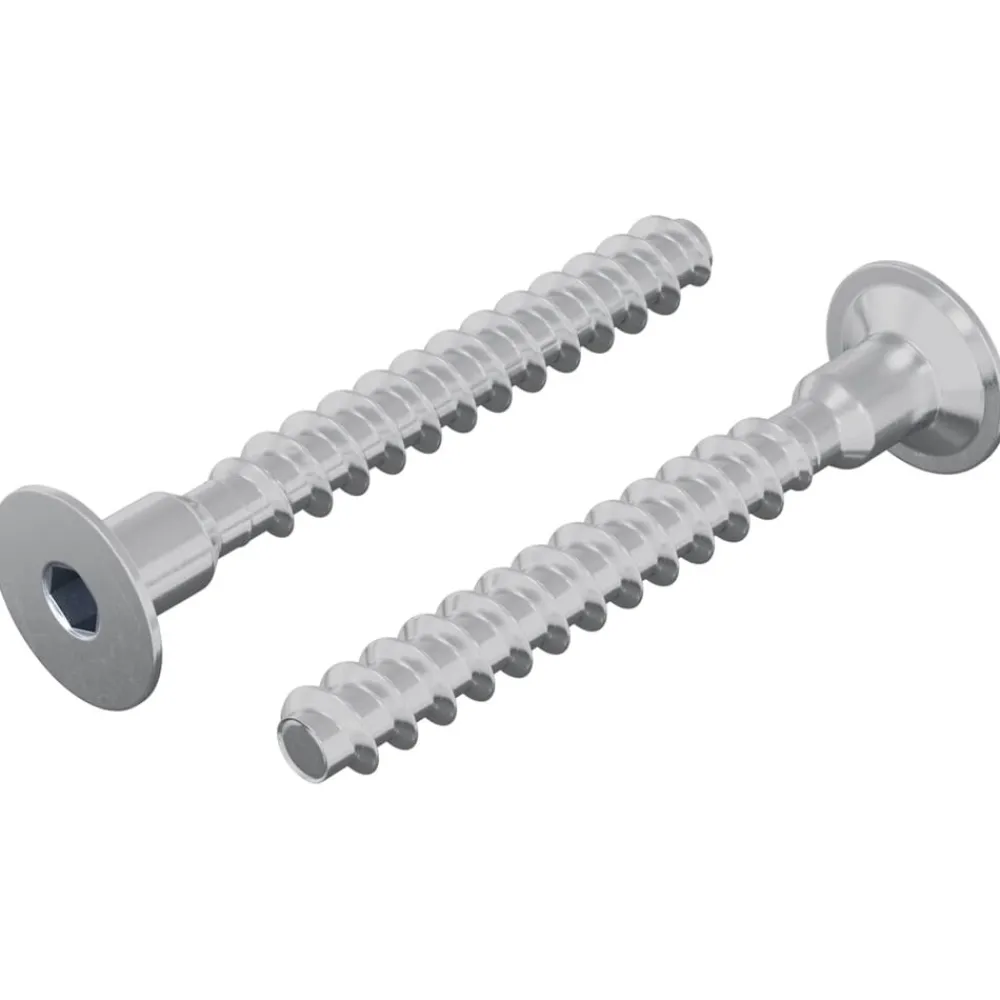 Bouwbeslag*vidaXL Bout 2 pcs Verzinkt 5 x 40 mm IJzer