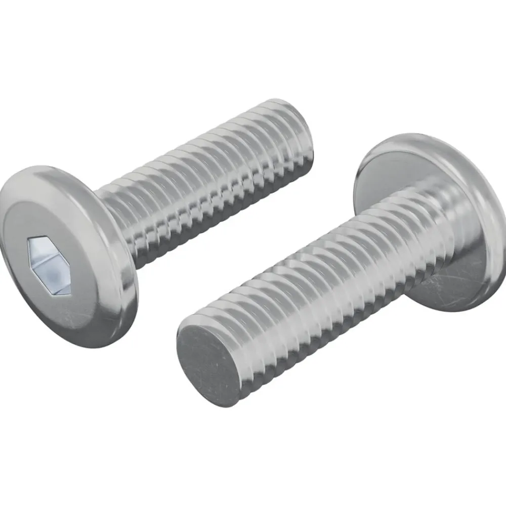 Bouwbeslag*vidaXL Bout 2 pcs Zilver 8 x 25 mm Staal