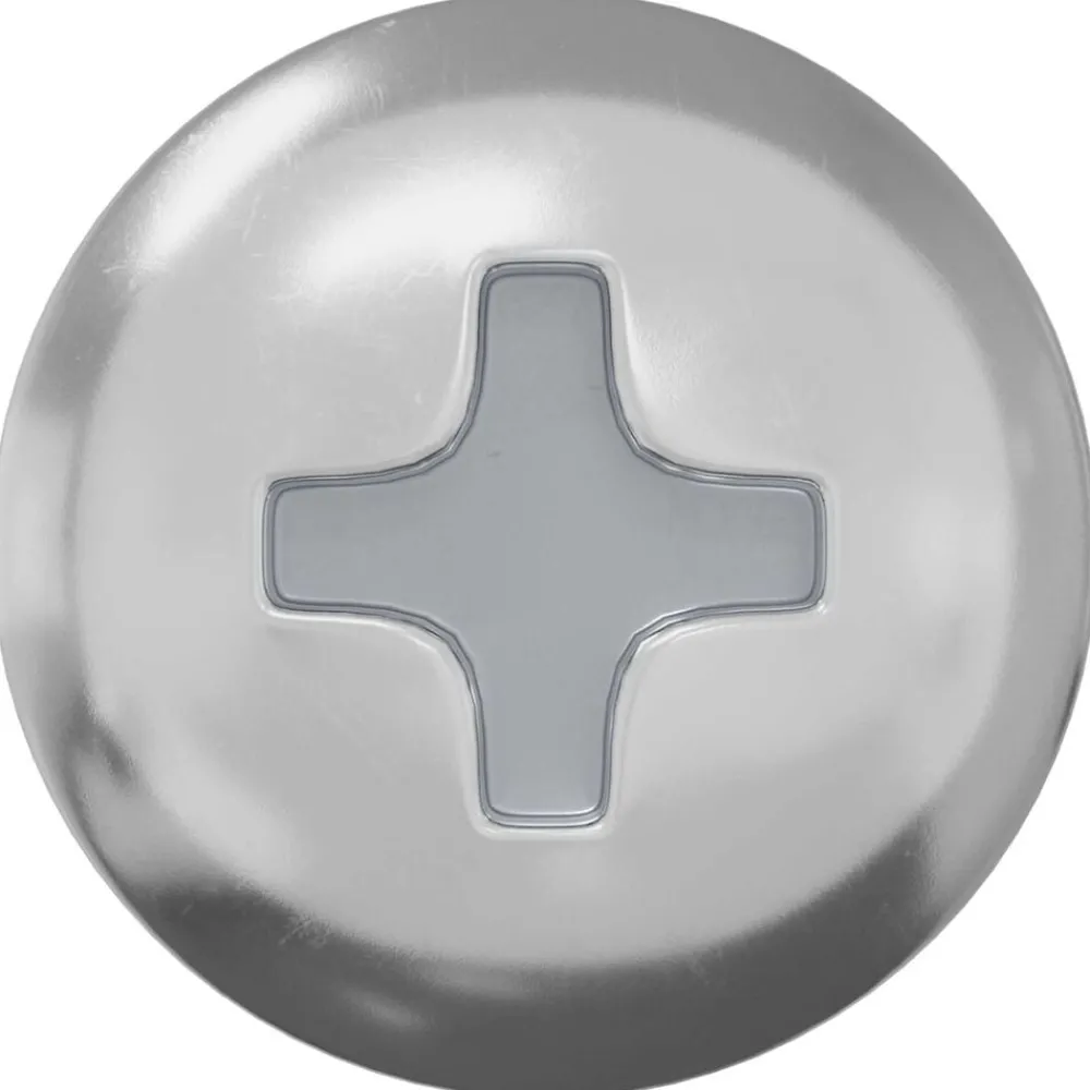Bouwbeslag*vidaXL Bout 2 pcs Zilver 9,8 x 35 mm IJzer