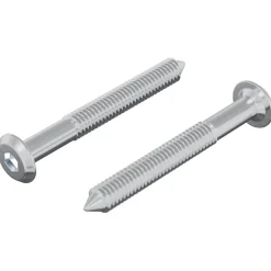 Bouwbeslag*vidaXL Bout 2 pcs Zilver M6 x 50 mm Staal