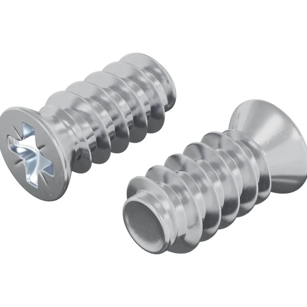 Bouwbeslag*vidaXL Bout 2 pcs Zilver M6 x 12 mm IJzer