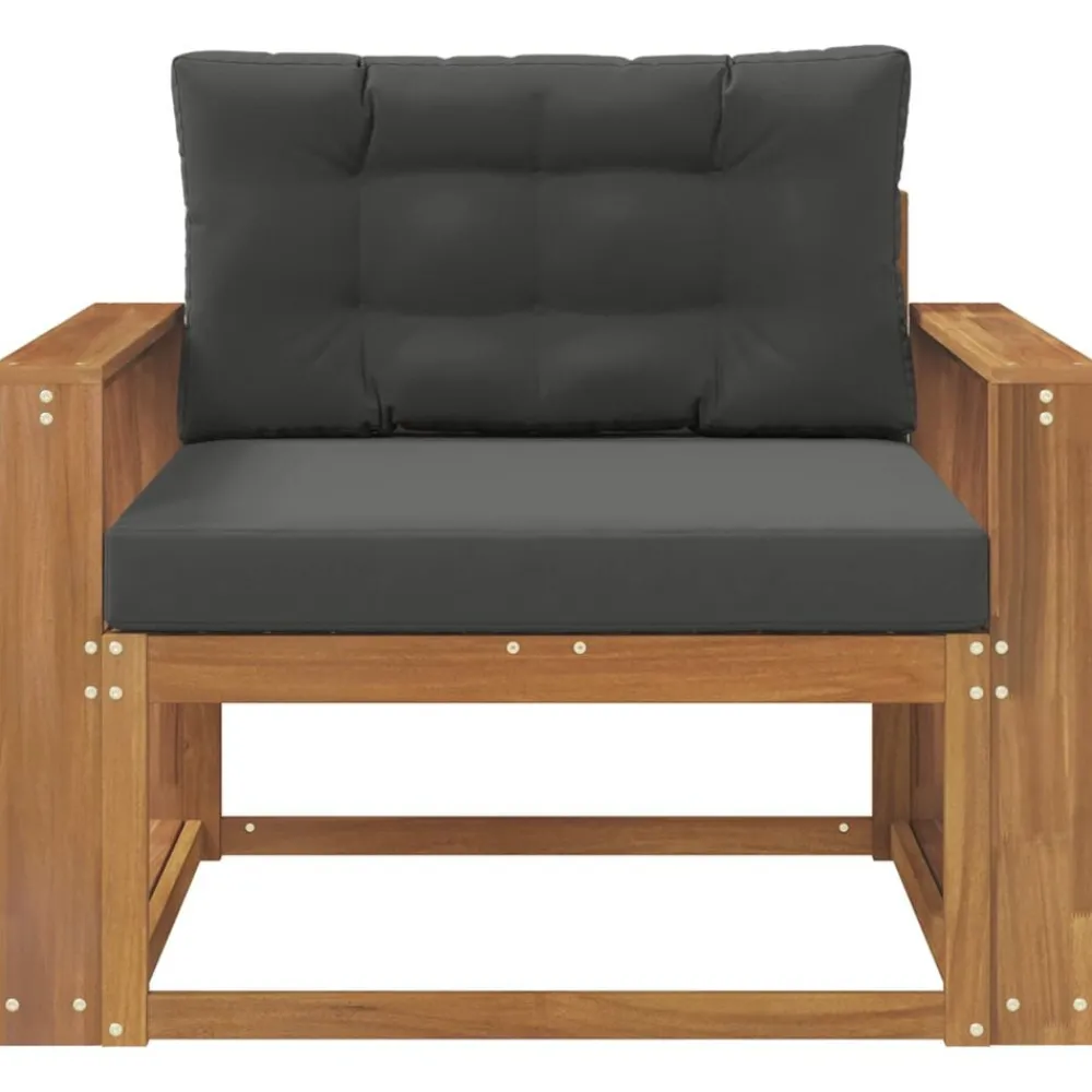 Accessoires Voor Stoelen En Banken*vidaXL Buiten Midden Sofa Massief Acaciahout Naturel Natuurlijk en antraciet