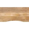 Bureaublad met ronding 110x60x2,5 cm massief ruw mangohout>vidaXL New