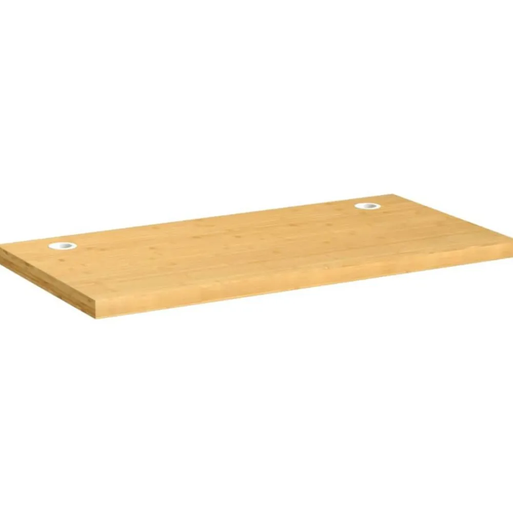 Accessoires Voor Kantoormeubilair*vidaXL Bureaublad 100x50x4 cm bamboe