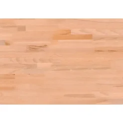 Tafelaccessoires*vidaXL Bureaublad 80x55x2,5 cm massief beukenhout