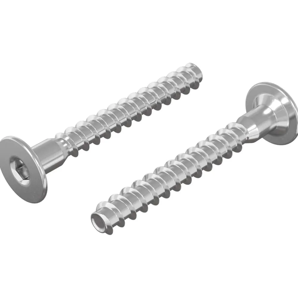Bouwbeslag*vidaXL Confirmatschroeven 2 pcs Zilver Ø5 x 40 mm Metaal