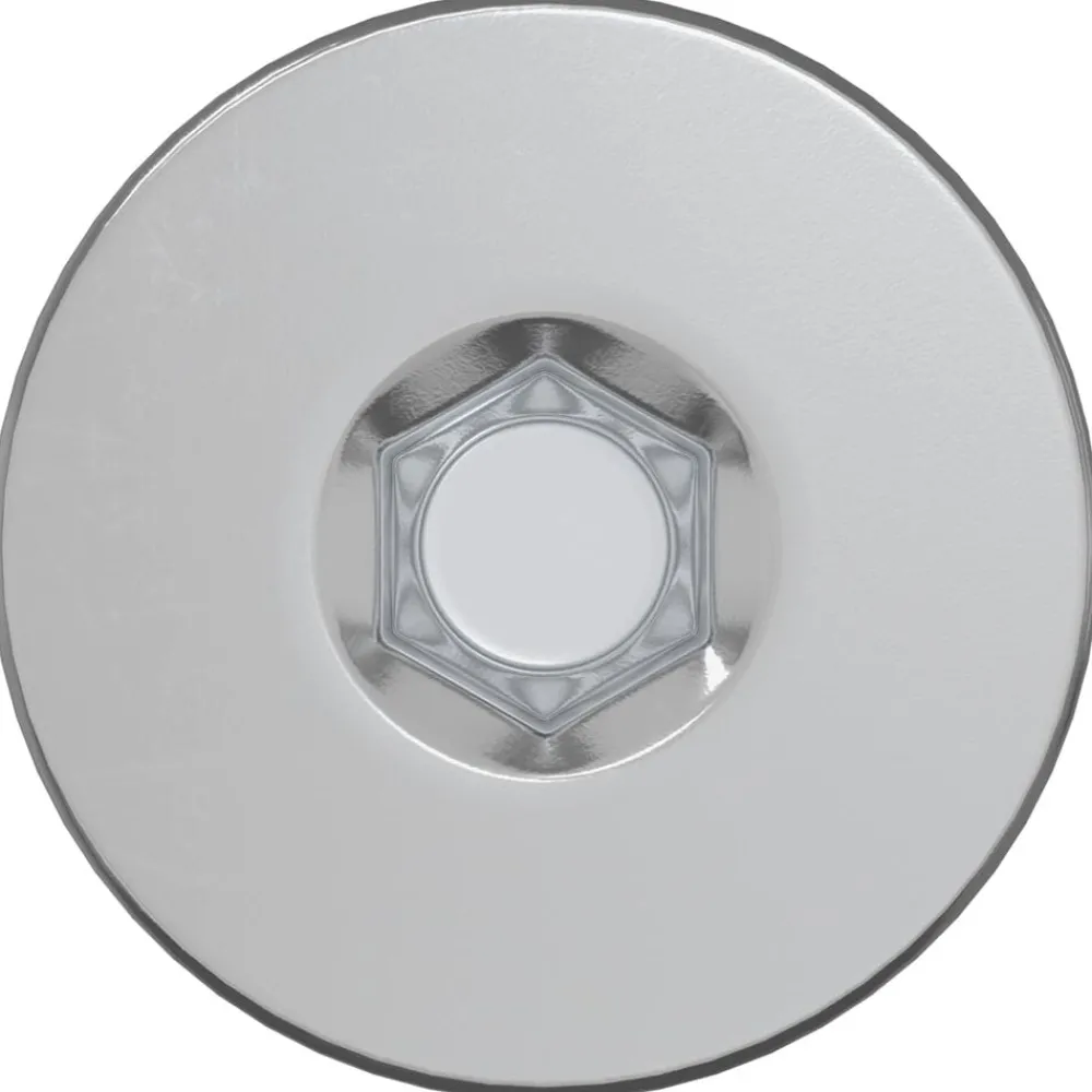 Bouwbeslag*vidaXL Confirmatschroeven 2 pcs Zilver Ø5 x 40 mm Metaal