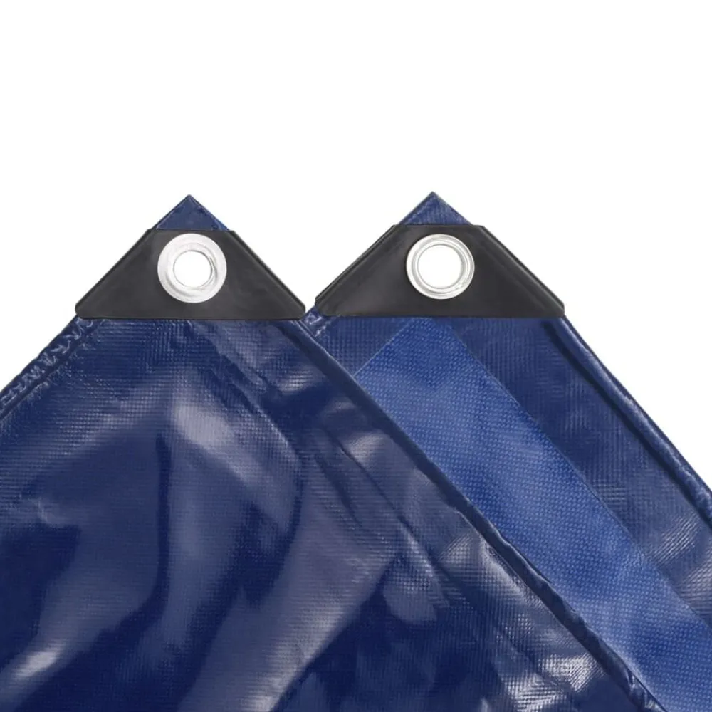Bouwbeslag*vidaXL Dekzeil 650 g/m² 2x3 m Blauw
