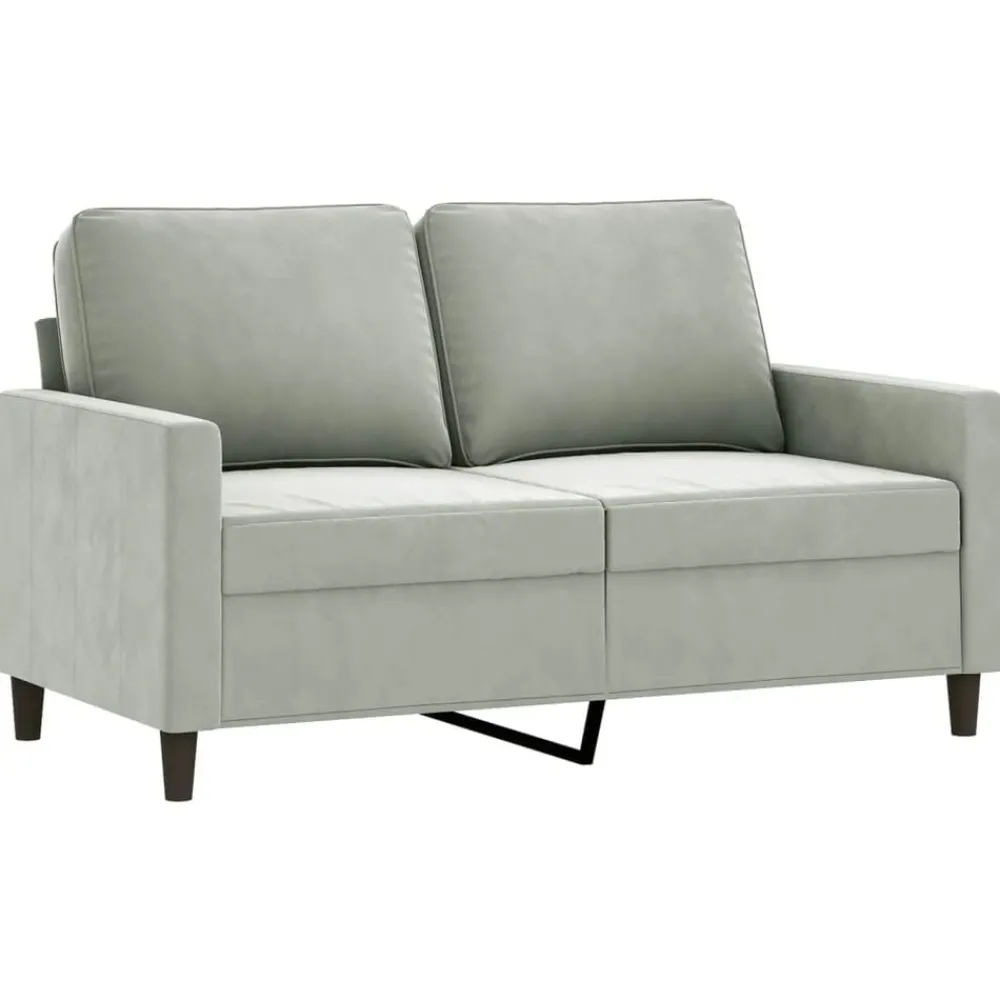 Banken*vidaXL 2-delige Loungeset met kussens fluweel Lichtgrijs