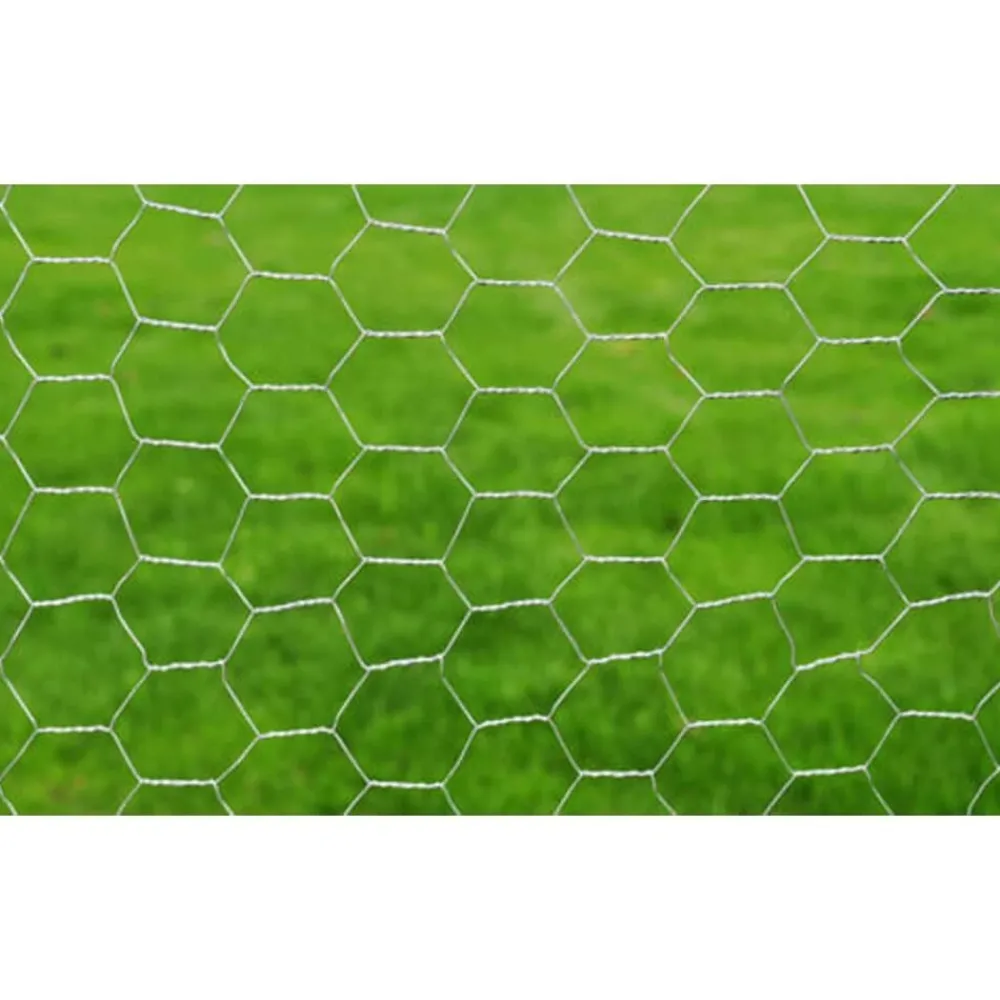 Draadgaas zeshoekig 1x25 m gegalvaniseerd staal kleurig>vidaXL Outlet