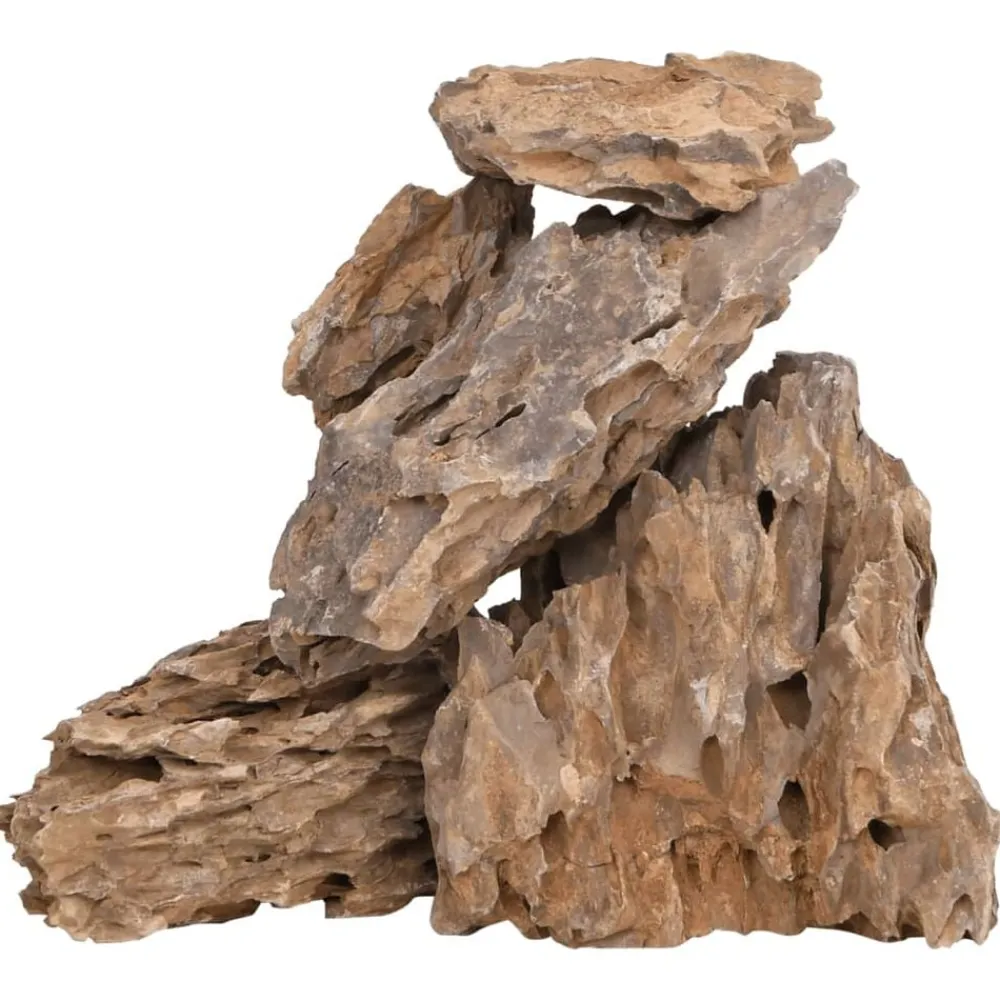 Huisdierbenodigdheden*vidaXL Drakenstenen gemende kleur 10 kg 10-30 cm Multikleur
