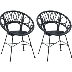 Stoelen*vidaXL Eetkamerstoel 2 pcs 49 x 51 x 81 cm Riet en IJzer Zwart