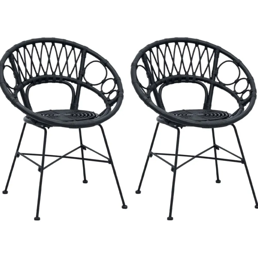 Stoelen*vidaXL Eetkamerstoel 2 pcs 49 x 51 x 81 cm Riet en IJzer Zwart
