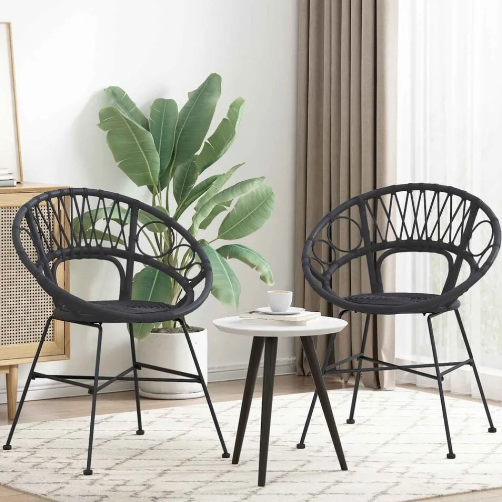 Stoelen*vidaXL Eetkamerstoel 2 pcs 49 x 51 x 81 cm Riet en IJzer Zwart