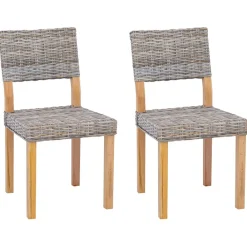 Stoelen*vidaXL Eetkamerstoel 2 pcs Kubu 46 x 55 x 84 cm Kubu Rattan Grijs