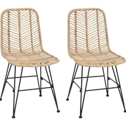 Eetkamerstoel 2 pcs 44 x 47 x 85 cm Riet en IJzer>vidaXL Sale