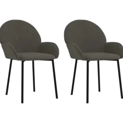 Stoelen*vidaXL Eetkamerstoelen 2 st fluweel Donkergrijs