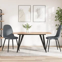 Eetkamerstoelen 2 st fluweel>vidaXL Outlet