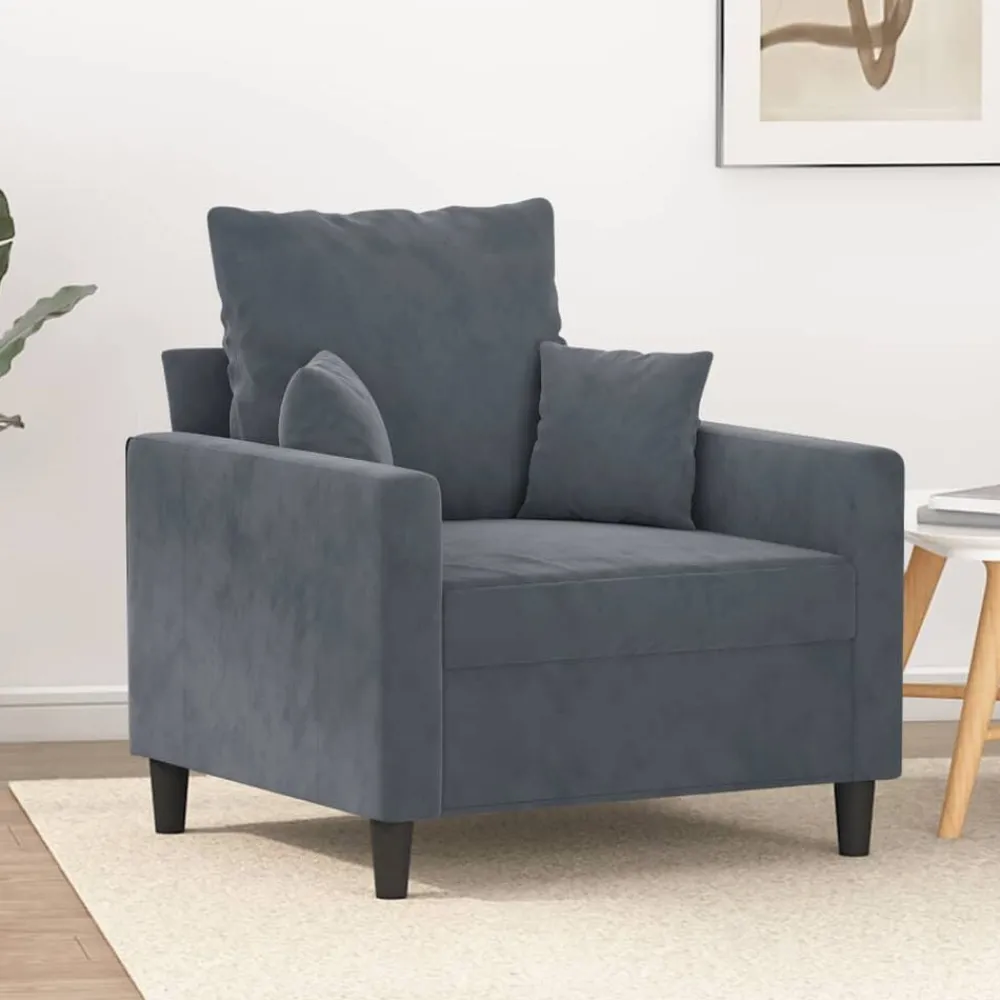 Banken*vidaXL Fauteuil 60 cm fluweel Donkergrijs