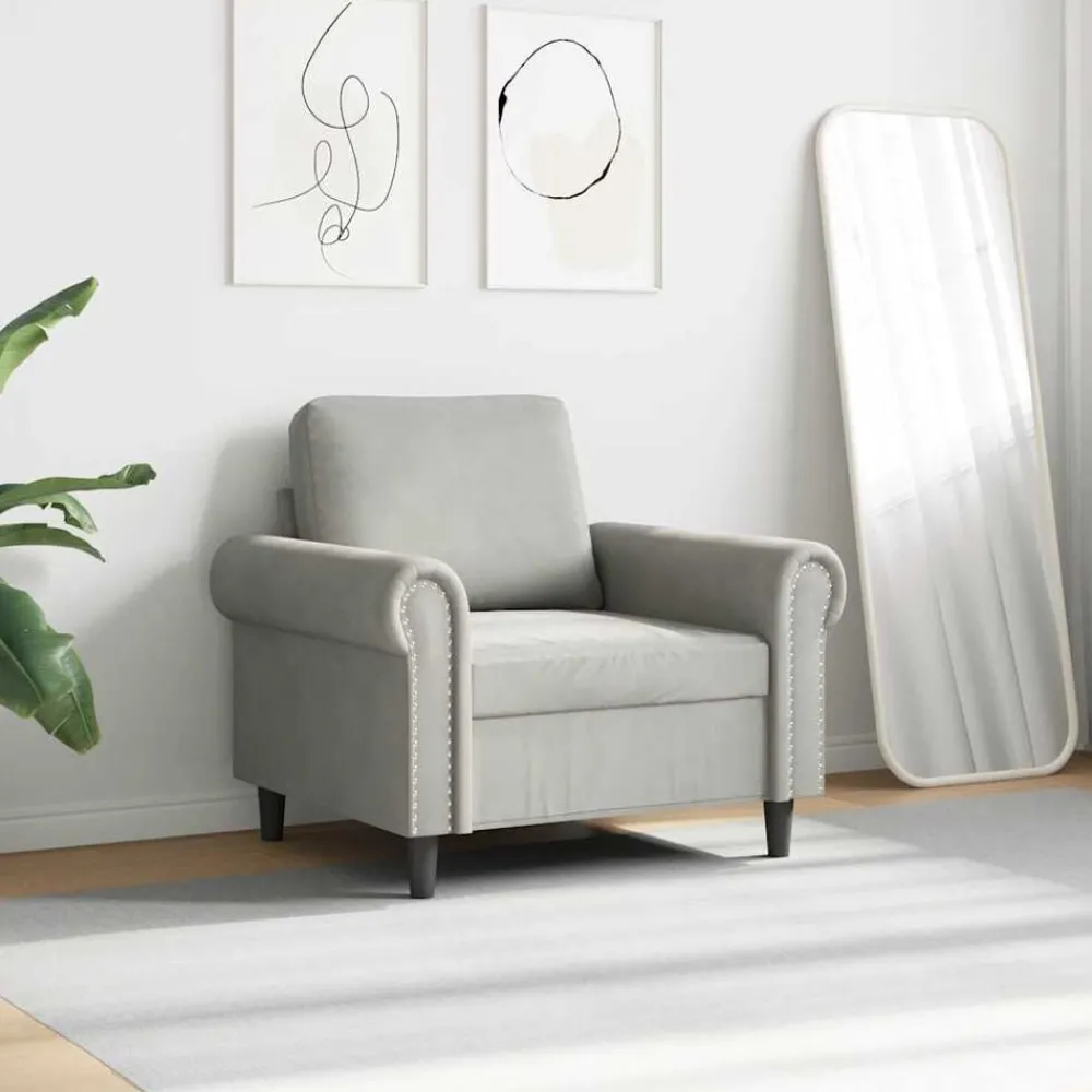 Banken*vidaXL Fauteuil 60 cm fluweel Lichtgrijs