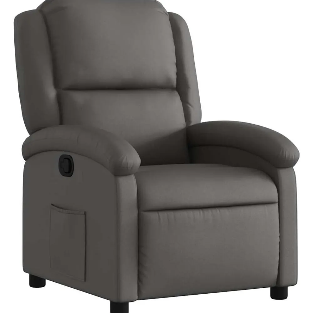 Fauteuil echt leer>vidaXL Sale