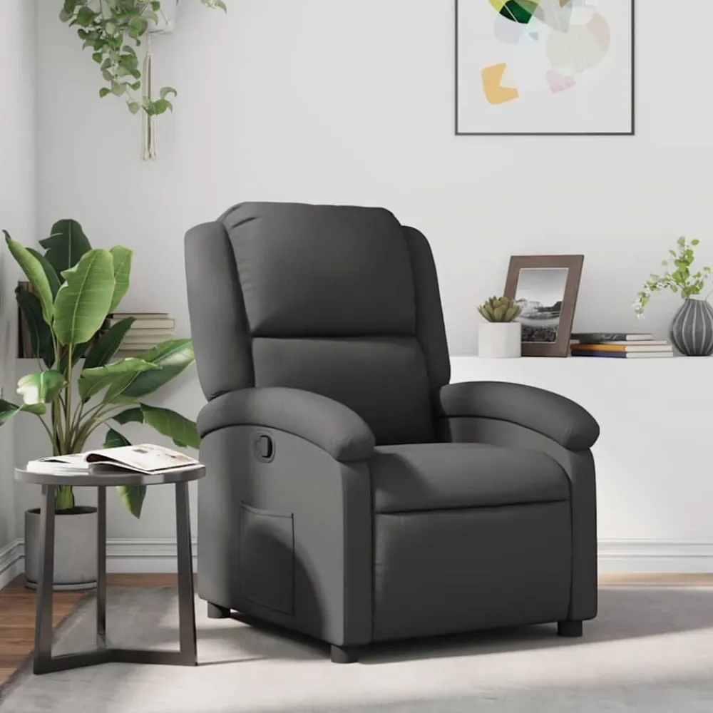 Fauteuil echt leer>vidaXL Sale