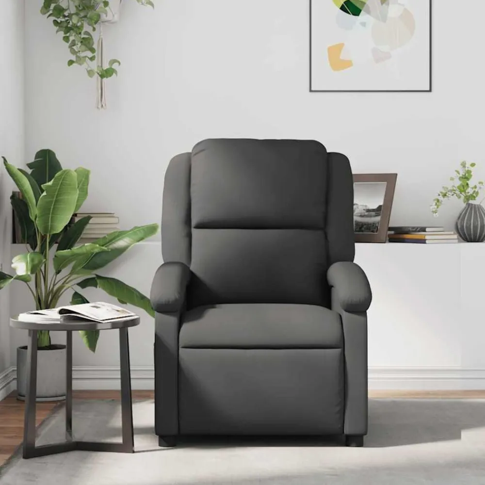 Fauteuil echt leer>vidaXL Sale