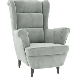 Stoelen*vidaXL Fauteuil fluweel Lichtgrijs