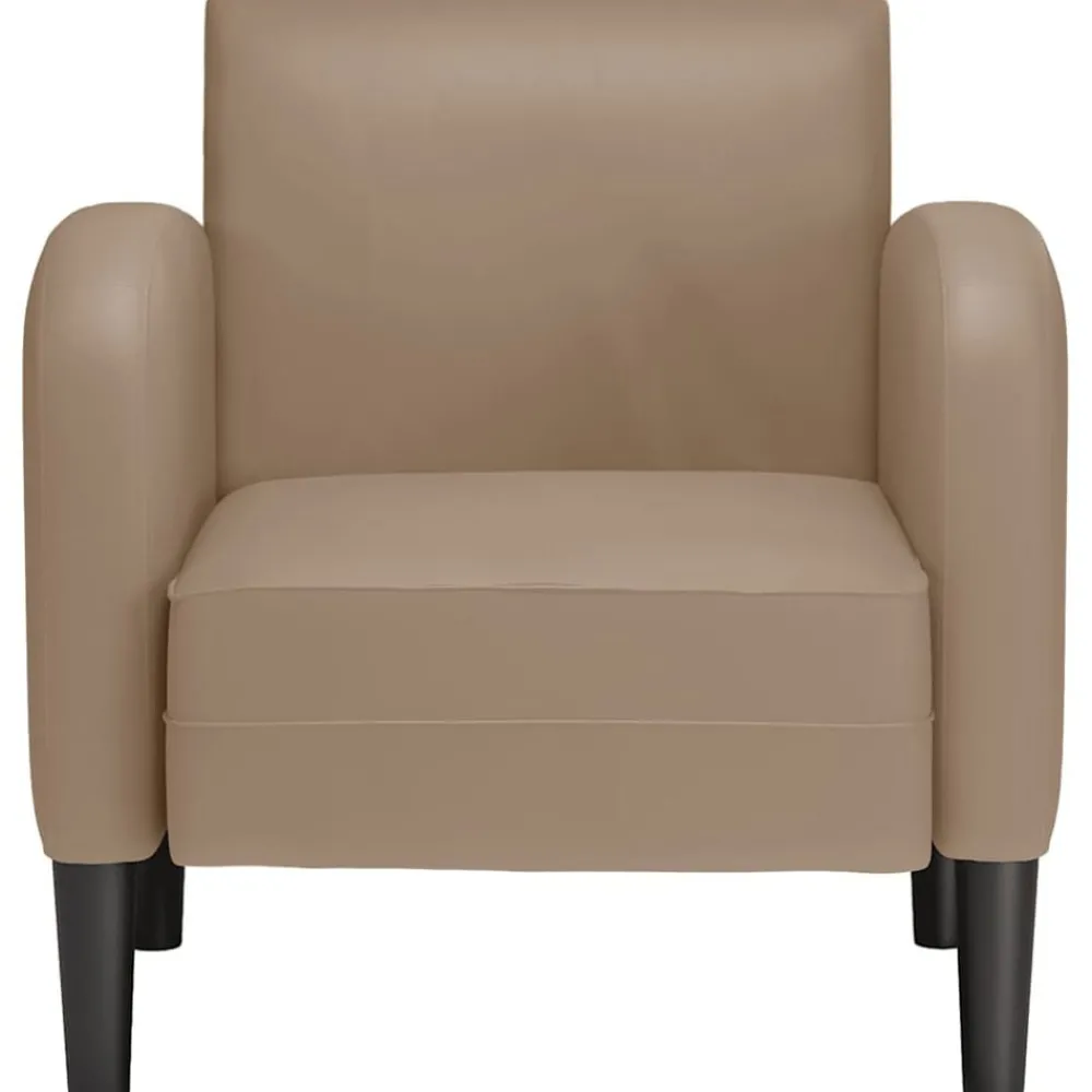 Fauteuil met armleuningen 54 cm kunstleer>vidaXL